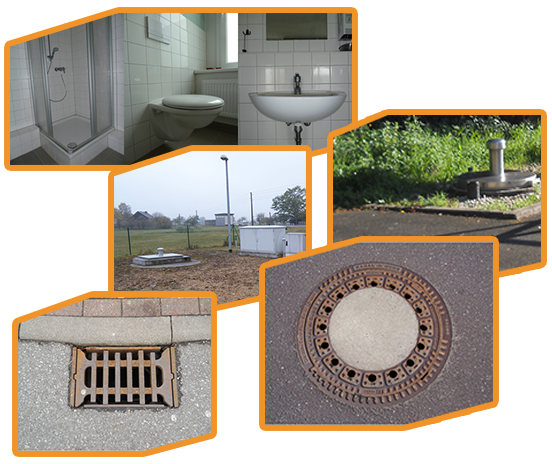 collage_geruch_hintergrundwissen.png